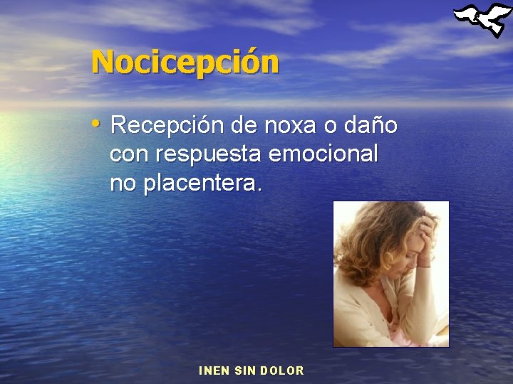 Nocicepción • Recepción de noxa o daño con respuesta emocional no placentera. INEN SIN