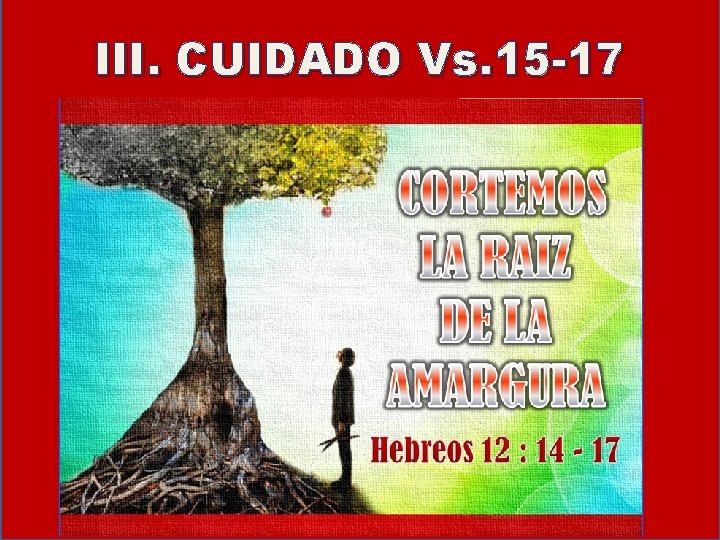 III. CUIDADO Vs. 15 -17 