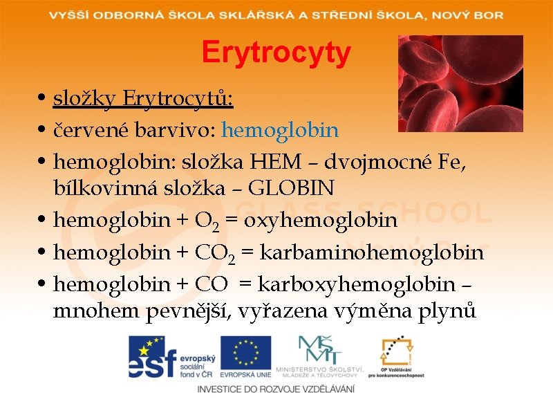 Erytrocyty • složky Erytrocytů: • červené barvivo: hemoglobin • hemoglobin: složka HEM – dvojmocné