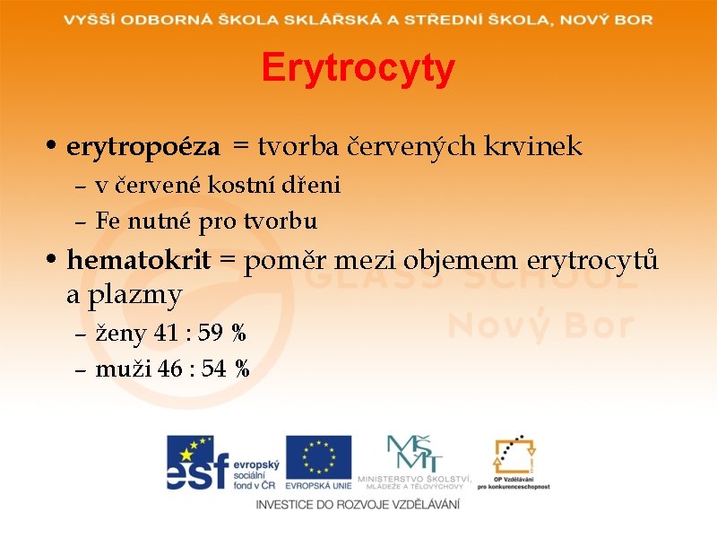 Erytrocyty • erytropoéza = tvorba červených krvinek – v červené kostní dřeni – Fe