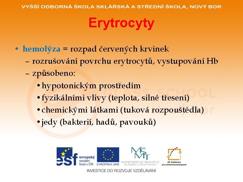 Erytrocyty • hemolýza = rozpad červených krvinek – rozrušování povrchu erytrocytů, vystupování Hb –