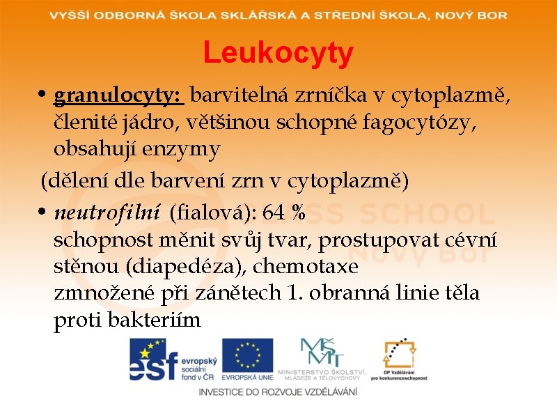 Leukocyty • granulocyty: barvitelná zrníčka v cytoplazmě, členité jádro, většinou schopné fagocytózy, obsahují enzymy