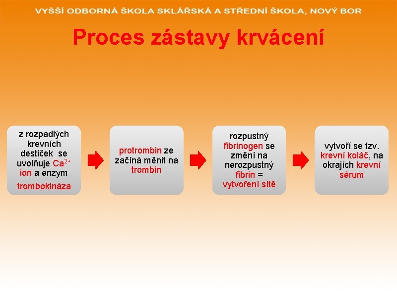 Proces zástavy krvácení z rozpadlých krevních destiček se uvolňuje Ca 2+ ion a enzym Proces zástavy krvácení z rozpadlých krevních destiček se uvolňuje Ca 2+ ion a enzym