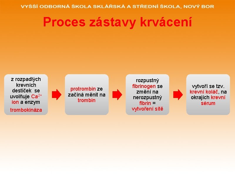 Proces zástavy krvácení z rozpadlých krevních destiček se uvolňuje Ca 2+ ion a enzym