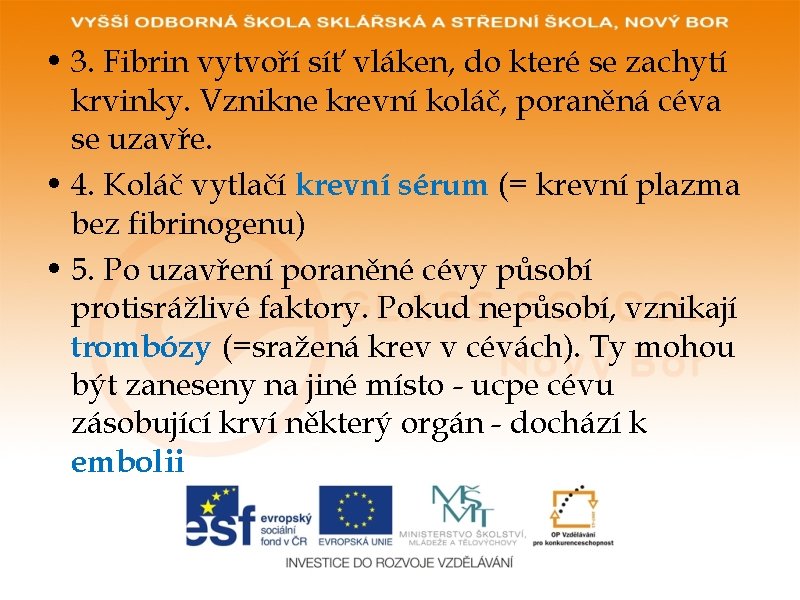  • 3. Fibrin vytvoří síť vláken, do které se zachytí krvinky. Vznikne krevní