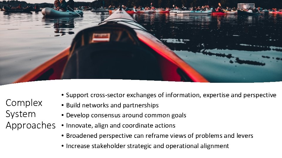 Complex System Approaches • • • Support cross-sector exchanges of information, expertise and perspective