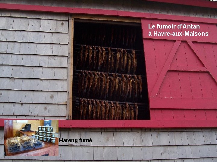 Le fumoir d’Antan à Havre-aux-Maisons Hareng fumé Le fumoir d’Antan à Havre-aux-Maisons Hareng fumé