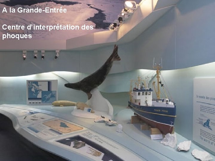 A la Grande-Entrée Centre d’interprétation des phoques A la Grande-Entrée Centre d’interprétation des phoques