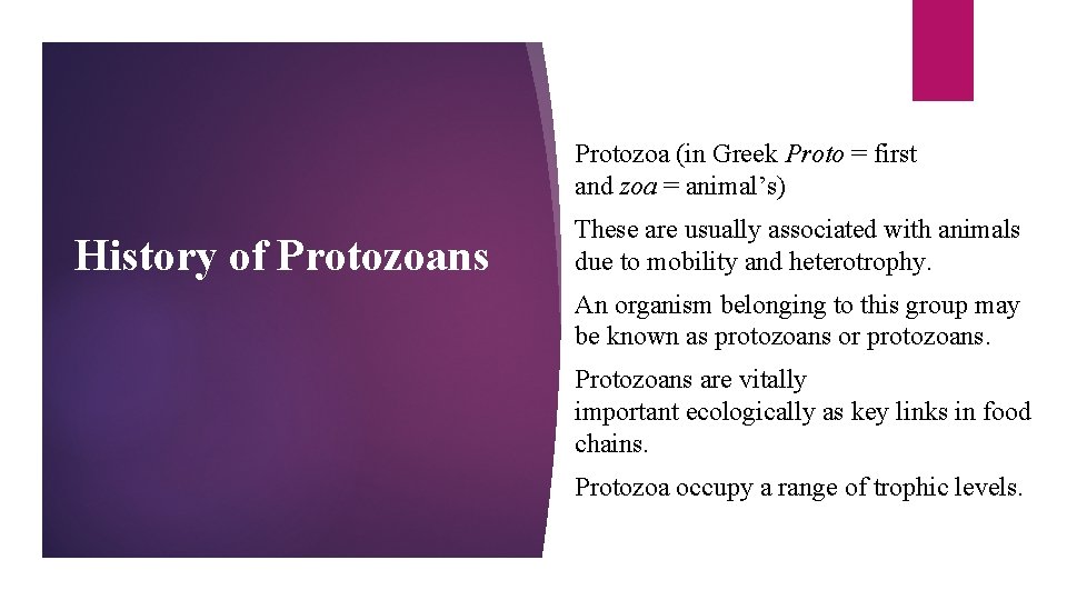 Protozoa (in Greek Proto = first and zoa = animal’s) History of Protozoans These