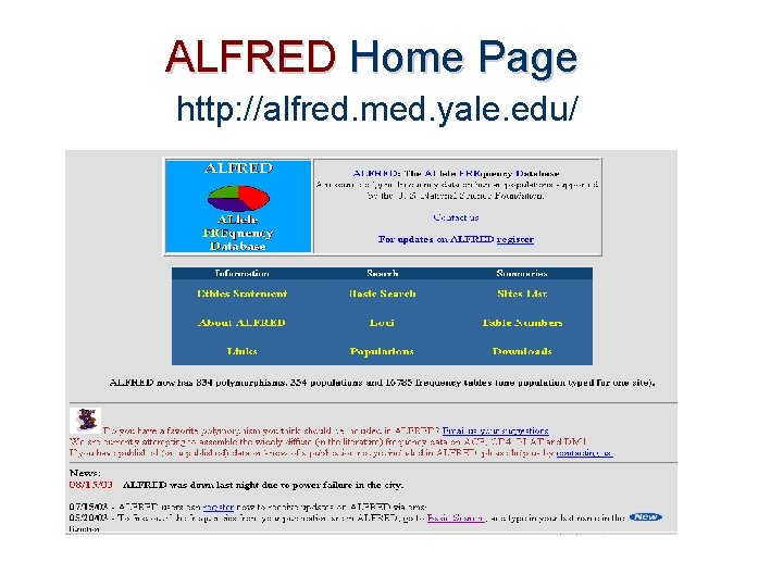 ALFRED Home Page http: //alfred. med. yale. edu/ 