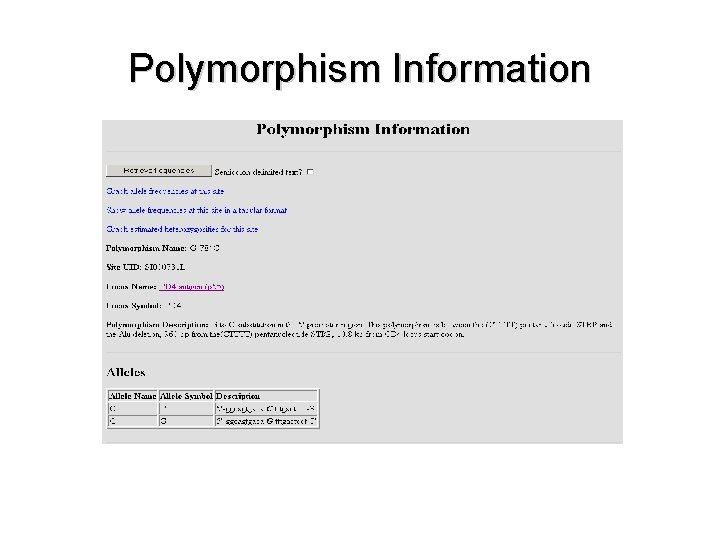 Polymorphism Information 