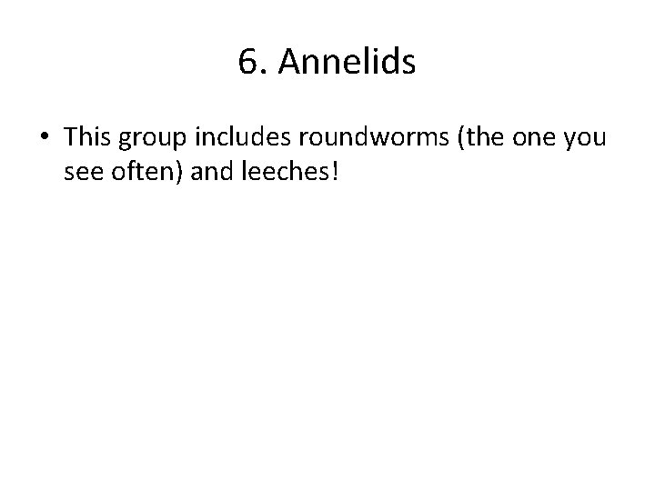 6. Annelids • This group includes roundworms (the one you see often) and leeches!