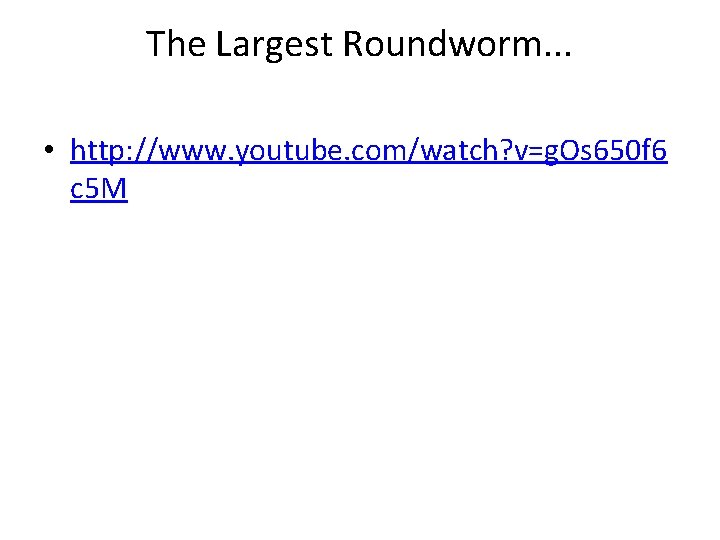 The Largest Roundworm. . . • http: //www. youtube. com/watch? v=g. Os 650 f