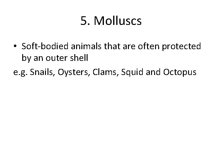 5. Molluscs • Soft-bodied animals that are often protected by an outer shell e.