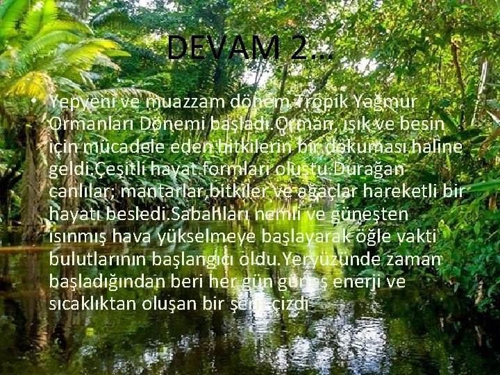 DEVAM 2… • Yepyeni ve muazzam dönem Tropik Yağmur Ormanları Dönemi başladı. Orman, ışık