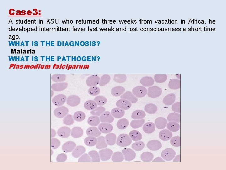 Case 3: A student in KSU who returned three weeks from vacation in Africa,