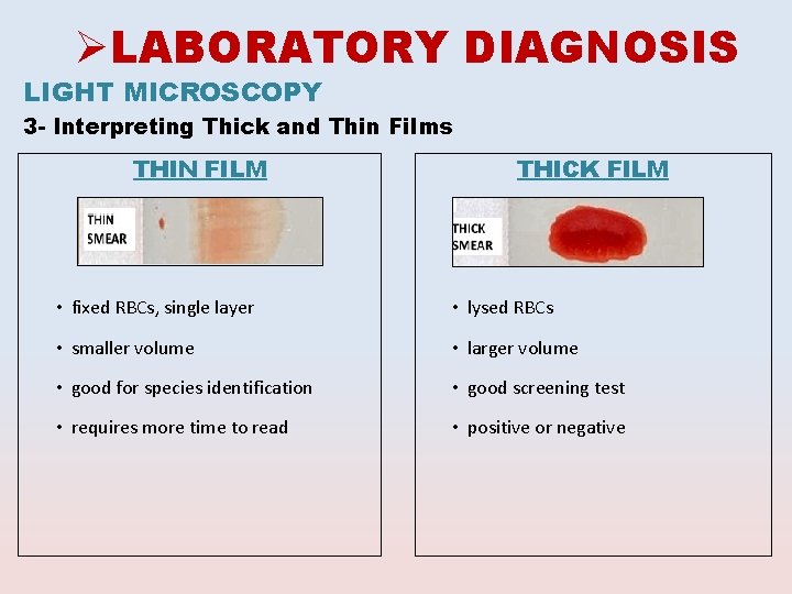 ØLABORATORY DIAGNOSIS LIGHT MICROSCOPY 3 - Interpreting Thick and Thin Films THIN FILM THICK