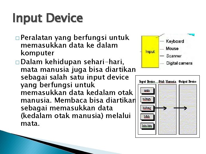 Input Device � Peralatan yang berfungsi untuk memasukkan data ke dalam komputer � Dalam