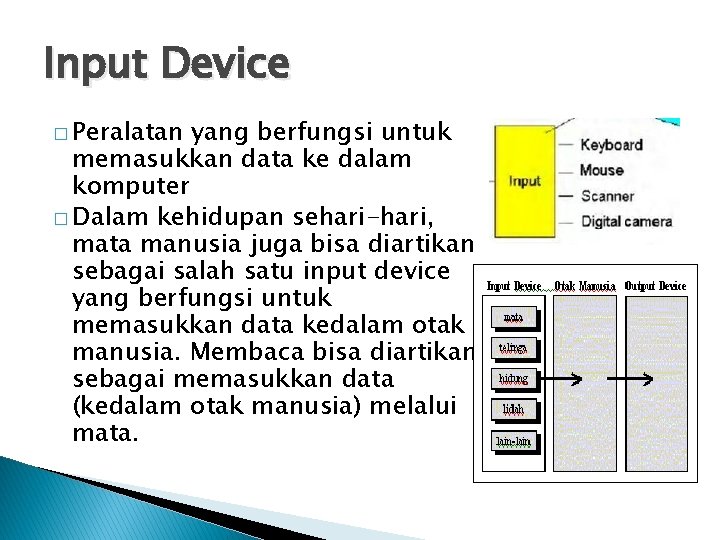 Input Device � Peralatan yang berfungsi untuk memasukkan data ke dalam komputer � Dalam Input Device � Peralatan yang berfungsi untuk memasukkan data ke dalam komputer � Dalam