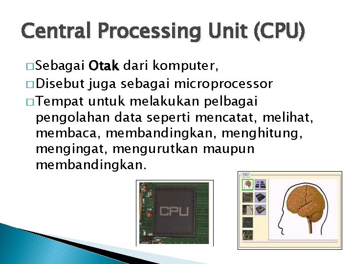 Central Processing Unit (CPU) � Sebagai Otak dari komputer, � Disebut juga sebagai microprocessor Central Processing Unit (CPU) � Sebagai Otak dari komputer, � Disebut juga sebagai microprocessor