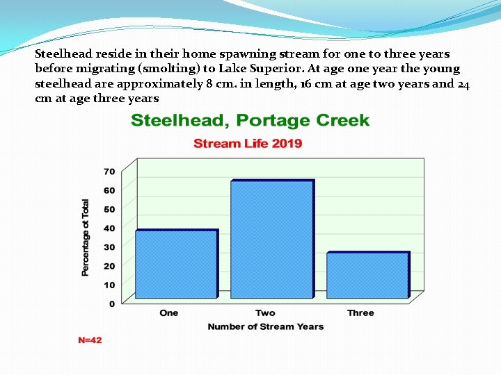 Steelhead reside in their home spawning stream for one to three years before migrating