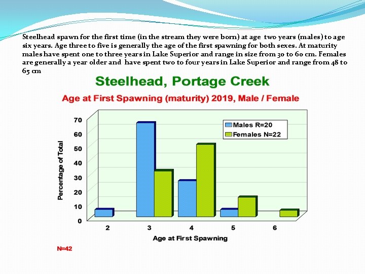 Steelhead spawn for the first time (in the stream they were born) at age