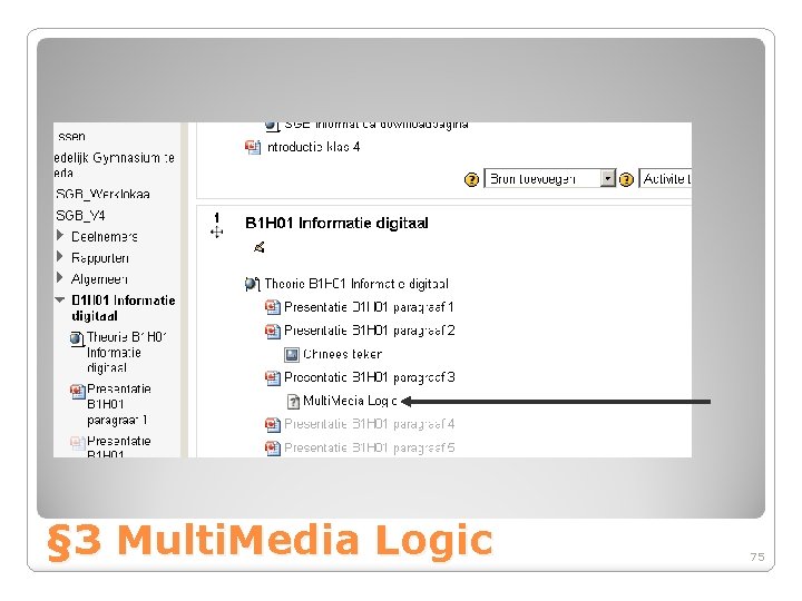 § 3 Multi. Media Logic 75 