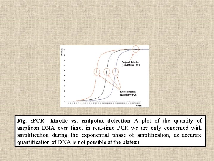 Fig. : PCR—kinetic vs. endpoint detection A plot of the quantity of amplicon DNA