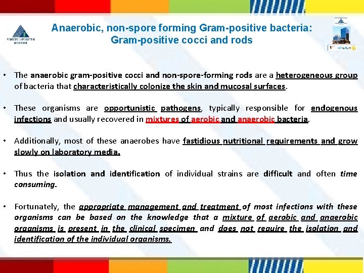 Anaerobic, non-spore forming Gram-positive bacteria: Gram-positive cocci and rods • The anaerobic gram-positive cocci