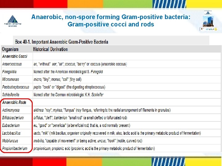 Anaerobic, non-spore forming Gram-positive bacteria: Gram-positive cocci and rods 