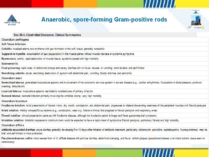 Anaerobic, spore-forming Gram-positive rods 