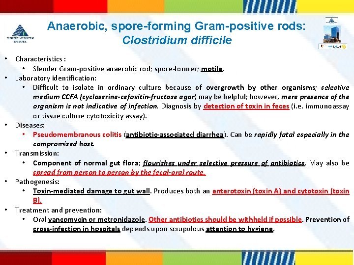 Anaerobic, spore-forming Gram-positive rods: Clostridium difficile • • • Characteristics : • Slender Gram-positive