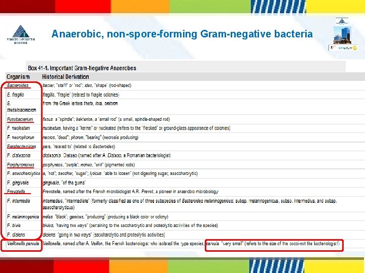 Anaerobic, non-spore-forming Gram-negative bacteria 