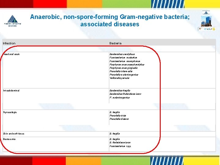 Anaerobic, non-spore-forming Gram-negative bacteria; associated diseases Infection Bacteria Head and neck Bacteroides ureolyticus Fusobacterium