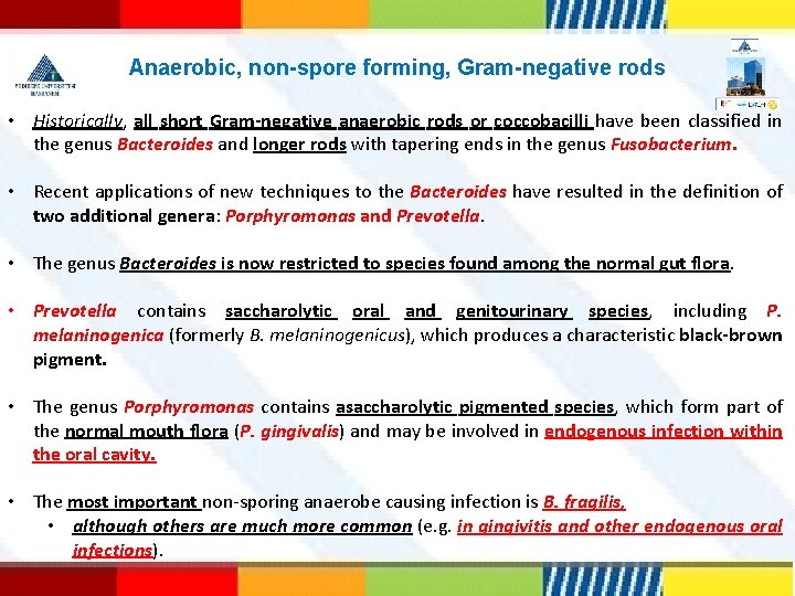 Anaerobic, non-spore forming, Gram-negative rods • Historically, all short Gram-negative anaerobic rods or coccobacilli