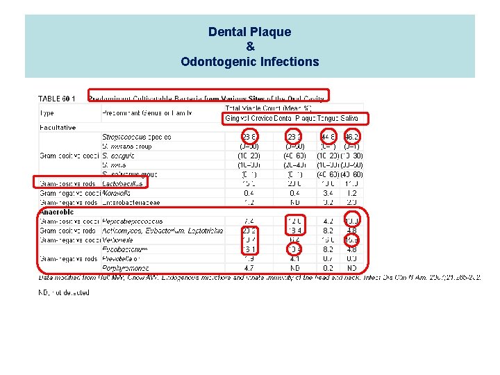 Dental Plaque & Odontogenic Infections 