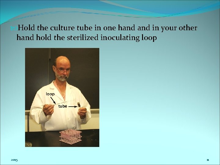 Hold the culture tube in one hand in your other hand hold the