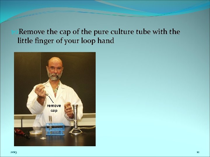  Remove the cap of the pure culture tube with the little finger of