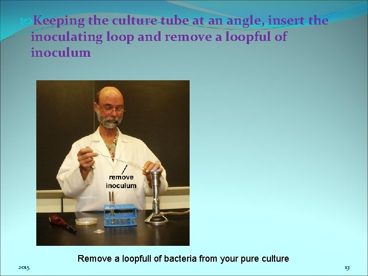  Keeping the culture tube at an angle, insert the inoculating loop and remove