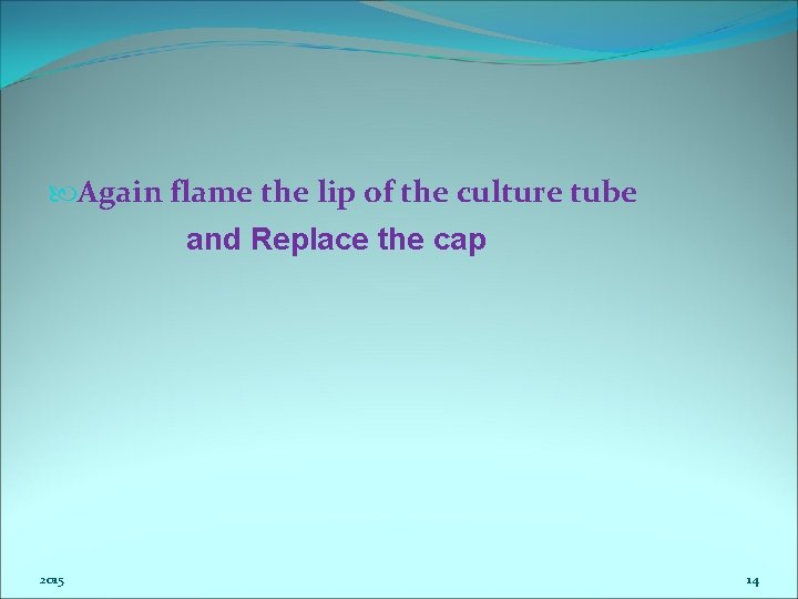  Again flame the lip of the culture tube and Replace the cap 2015
