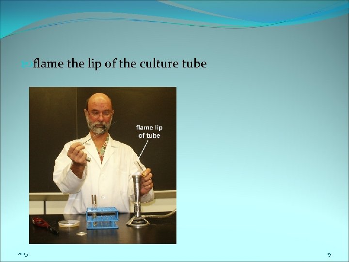  flame the lip of the culture tube 2015 15 