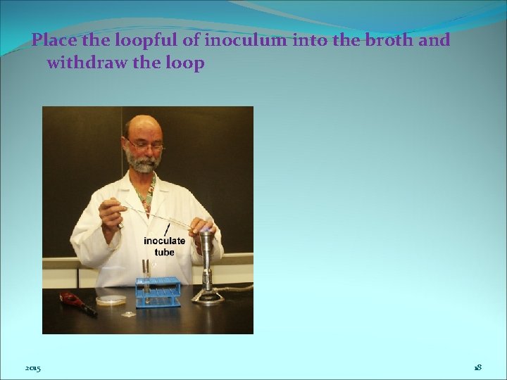 Place the loopful of inoculum into the broth and withdraw the loop 2015 18