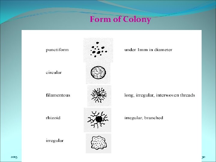 Form of Colony 2015 30 