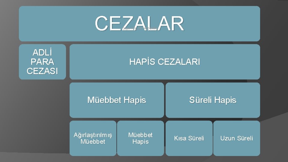 CEZALAR Özgür KÜÇÜKTAŞDEMİR ADLİ PARA CEZASI HAPİS CEZALARI Müebbet Hapis Ağırlaştırılmış Müebbet Hapis Süreli