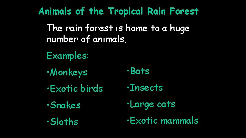 Animals of the Tropical Rain Forest The rain forest is home to a huge