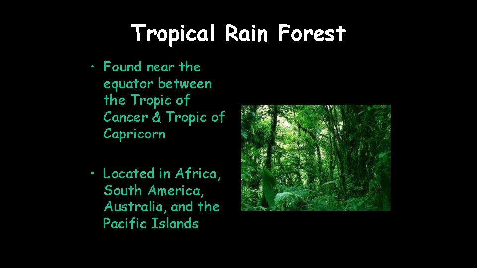 Tropical Rain Forest • Found near the equator between the Tropic of Cancer &