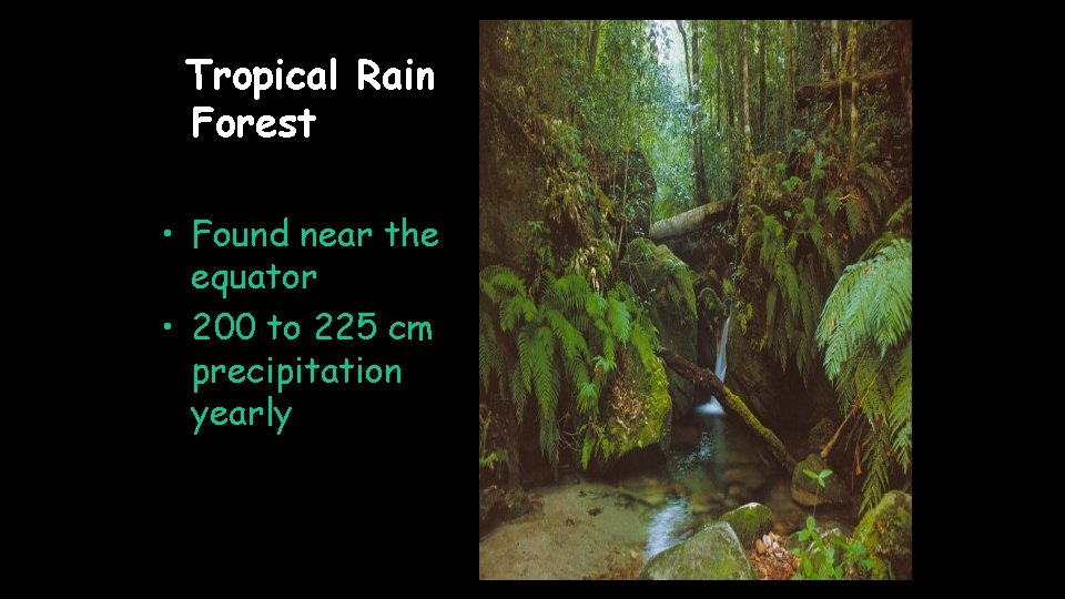 Tropical Rain Forest • Found near the equator • 200 to 225 cm precipitation