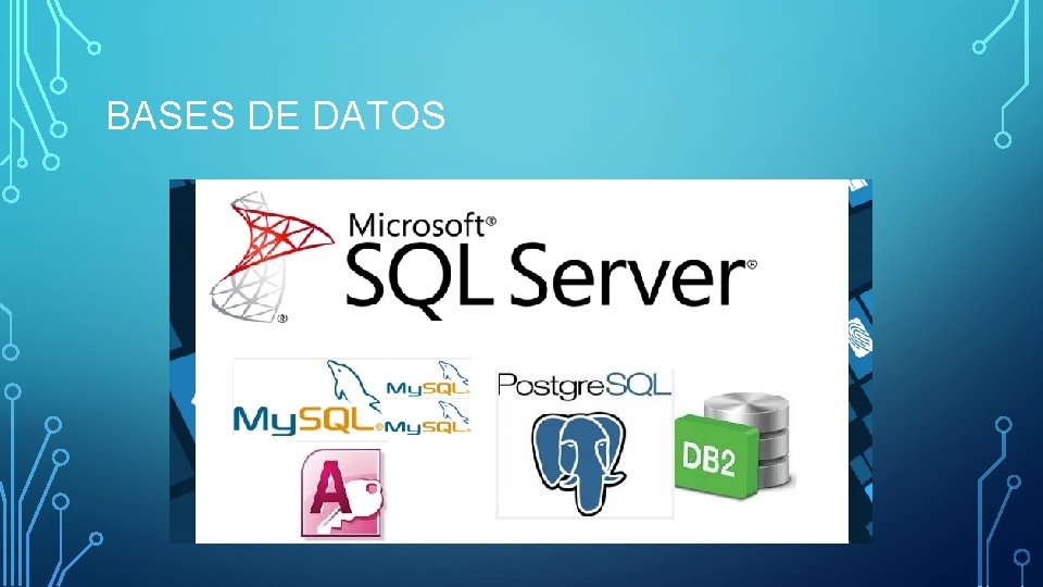 BASES DE DATOS 