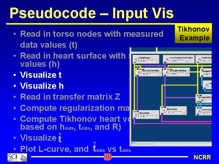 Pseudocode – Input Vis Tikhonov Example • Read in torso nodes with measured data
