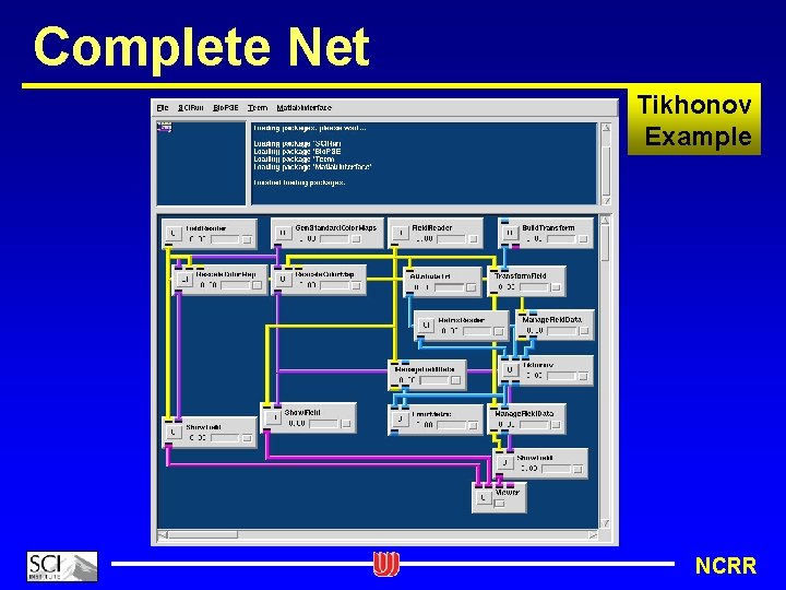Complete Net Tikhonov Example NCRR 